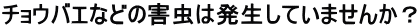 チョウバエなどの害虫は発生していませんか？