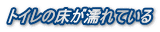 トイレの床が濡れている