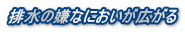 排水の嫌なにおいが広がる