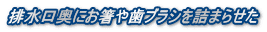 排水口奥にお箸や歯ブラシを詰まらせた