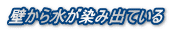 壁から水が染み出ている