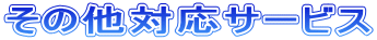 その他対応サービス